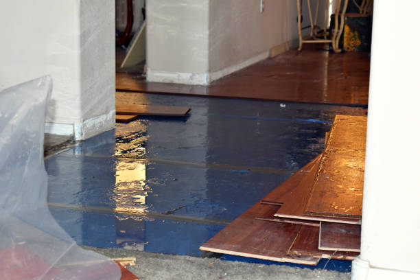 Professional Water Removal technician working in Mingus, TX